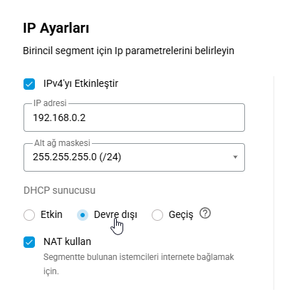 IPIP_GRE_EoIP_11_EoIP_DisableDHCP.png