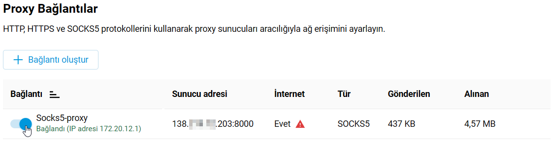 proxy-client-03-en.png